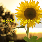 [좋은글] [좋은글] 세상에서 가장 값진 5만원