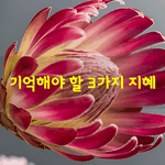 [좋은글] [좋은글] 기억해야 할 3가지 지혜