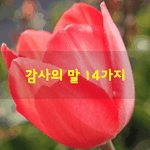 [좋은글] [좋은글] <b>감사</b>의 말 14가지