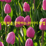 [좋은글] [좋은글] <b>집중력</b>을 강화하는 20가지 방법