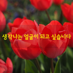 [좋은글] [좋은글] 생각나는 <b>얼굴</b>이 되고 싶습니다