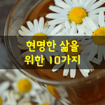 [좋은글] [좋은글] <b>현명</b>한 삶을 위한 10가지