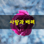 [좋은글] [좋은글] - 사랑과 <b>배려</b>