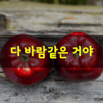 [좋은글] [좋은글] 다 바람같은 거야