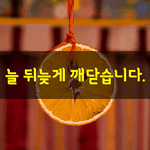[좋은글] [좋은글] 늘 뒤늦게 깨닫습니다.