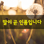 [좋은글] [좋은글] 말이 곧 <b>인품</b>입니다
