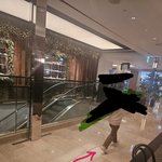 [수정]백화점이 운동장이고 <b>애견</b>카페입니까?