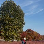 <b>조윤희</b>, 딸 로아와 가을 나들이 공개