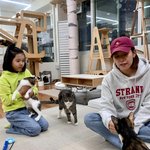 조윤희와 딸 로아, 유기<b>동물</b> 보호로 전한 따뜻한 일상