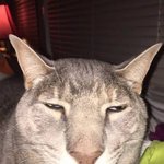 중안부정병와서 남친이랕 헤어진거