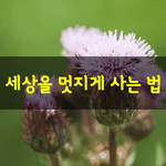 [좋은글] [좋은글]  세상을 멋지게 사는법