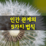 [좋은글] [좋은글] 인간 관계의 5가지 <b>법칙</b>