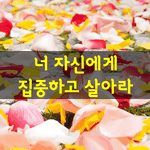 [좋은글] [좋은글] 싫은 일은 하지마라