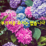 [좋은글] [좋은글] 부끄러운 <b>과거</b>는 없습니다