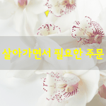 [좋은글] [좋은글] 살아가면서 필요한 <b>주문</b>