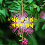 [좋은글] [좋은글] <b>목적</b>을 두지 않는