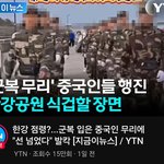 우리 어<b>족이</b> 여기 있을듯