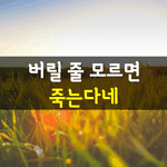 [좋은글] [좋은글] 버릴줄 모르면 죽는다네