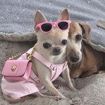 [안광에] <b>총명</b>한 눈빛은