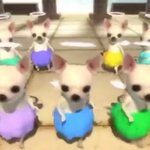 [댓글부탁해] 수행평가 <b>컨닝</b> 개꿀팁 알려드림