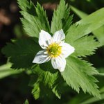 [좋은글] [좋은글] 【모데미풀】