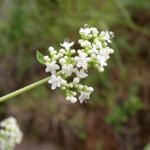 [좋은글] [좋은글] 【뚝갈】