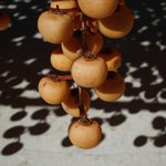 [좋은글] [좋은글] 과일속에 숨은 민간요법