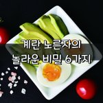 [좋은글] [좋은글] 계란 <b>노른자</b>의 놀라운 비밀 6가지