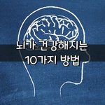 [좋은글] [좋은글] 뇌가 건강해지는 10가지 방법