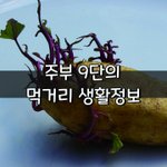 [좋은글] [좋은글] <b>주부</b> 9단의 먹거리 생활정보