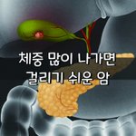 [좋은글] [좋은글] <b>체중</b> 많이 나가면 걸리기 쉬운 암