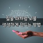 [좋은글] [좋은글] 젊을 때처럼 뇌를 생생하게 만드는 방법
