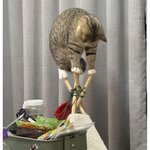 놓<b>치마</b> 정신줄