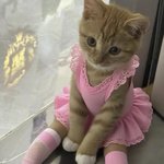 남자의 사생활은 <b>비밀</b>이야