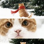 아 <b>은행</b> 밟았더니