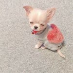시러도 그런건 어쩔수 <b>없어</b>