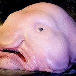 해석남녀 <b>노처녀들</b> 취집타령 역 ㅡ겹다