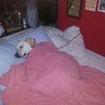 나 수요일부터 <b>탈판</b>할게