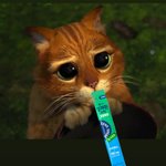 나 김민지과 <b>병적</b>으로 싫어하는듯