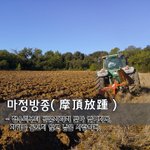 [좋은글] 마정방종摩頂放踵 - <b>정수리</b>부터 발꿈치까지 닳아 없어지다...