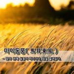 [좋은글] [좋은글] 마이동풍馬耳東風 – 말의 귀에 동풍이 지나가다...