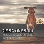 귀모토각龜毛兎角 - 거북에 털이 나고 <b>토끼</b>에 뿔이 생기다, 도저히 있을...