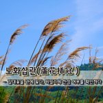 노화삽관蘆花揷冠 - 갈대꽃을 관에 꽂다, 비밀리에 <b>찬성</b> 여부를 확인하다
