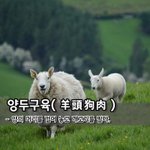[좋은글] [좋은글] 양두구육羊頭狗肉 - 양의 머리를 걸어 놓고...