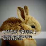 수주대토守株待兎 – 그루터기를 지키며 <b>토끼</b>를 기다리다, 어리석게 요행을...