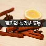 [좋은글] [좋은글] 계피의 놀라운 효능