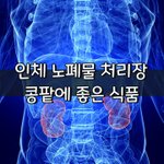 [좋은글] [좋은글] <b>인체</b> 노폐물 처리장, '콩팥'에 좋은 식품...