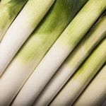 [좋은글] [좋은글] 파 효능 활용법 10가지