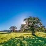 [좋은글] [좋은글] <b>아침</b>이 즐거운 쾌변 건강법