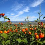 [좋은글] [좋은글] <b>가정</b>을 지키기 위한 40대의 건강을 위해 버려야...